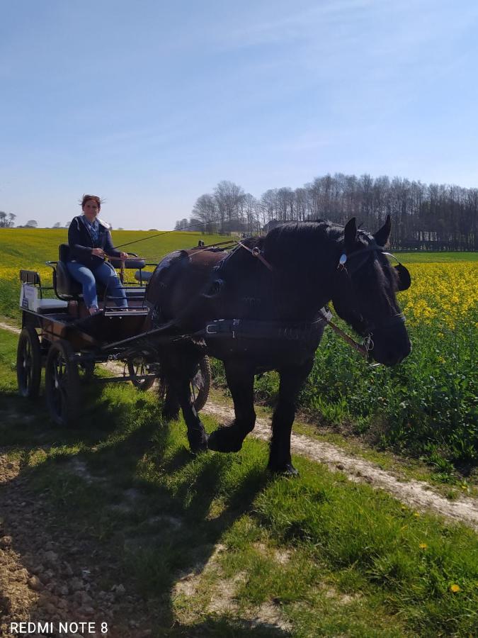 Veritable Roulotte Hippomobile "La Bailleul" Mentheville エクステリア 写真