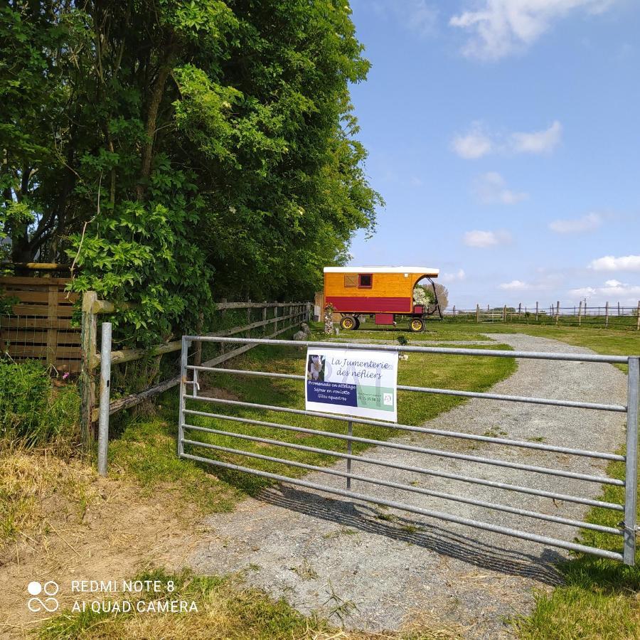 Veritable Roulotte Hippomobile "La Bailleul" Mentheville エクステリア 写真